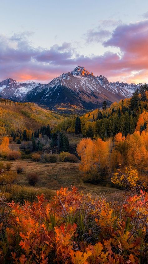 Colorful Colorado 🍂🏔️✨ • • • #uteland #utetribe #coloradolive #visitcolorado #fallorado #reels #reelsinstagram #colorado #fallcolors… | Instagram Amazing Aesthetic, Colorado Aesthetic Fall, Beautiful Places Aesthetic, Colorado Mountain Aesthetic, Colorado Nature, Western Colorado, Colorado Mountains Aesthetic, Colorado Autumn, Colorado In Fall