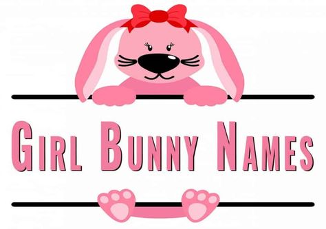 1,200+ Girl Bunny Names – Cute Names, Cool Names, Top 10 Names – Rabbit Pros Bunny Girlfriend Type, Cute Names For Rabbits, Rabbit Names Ideas, Boy Rabbit Names, Names For Pet Bunny Rabbits, Rabbit Names, Black Bunny, Bunny Names, Rabbit Lover