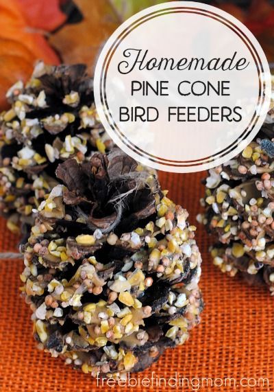 Homemade Pine Cone Bird Feeders - Mother nature provides the main "ingredient" in these easy fall crafts. Using pine cones are the perfect way for you and the kids to partake in a fun, frugal and fall inspired project. Planning 2024, Pine Cone Bird Feeder, Dollar Diy, Bird Feeder Craft, School Planning, Homemade Bird Feeders, Bird Feeding, Easy Fall Crafts, Cones Crafts