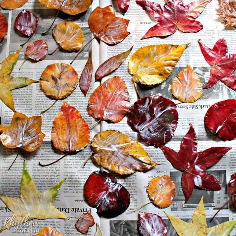 How To Keep Leaves From Drying Out, Preserved Leaf Art, Leaf Preservation Art, Crafts Using Real Fall Leaves, How To Dry Leaves For Crafts, Fall Leaves Crafts For Adults, Pressed Leaf Crafts, Dried Leaf Art Wall Decor, Pressed Leaf Art Diy