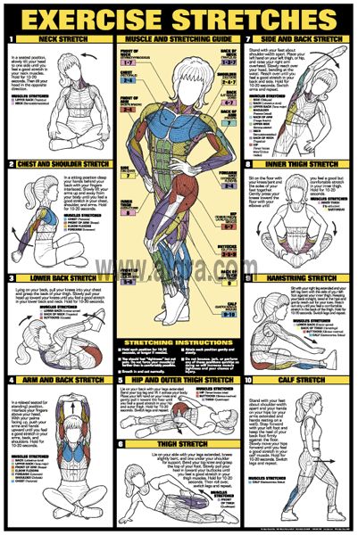 Exercise Stretches Poster | by Bruce Algra Workout Stretches, Relaxation Yoga, Yoga Relaxation, Bedtime Yoga, Yoga Stretching, Exercises For Women, Workout Posters, Yoga Iyengar, Workout Chart