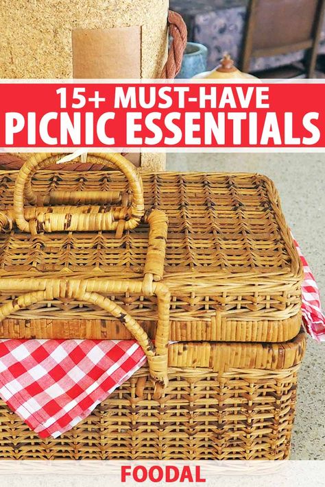 Tailgate Picnic Ideas, How To Pack A Picnic Basket Food, Packing A Picnic Basket, What To Put In A Picnic Basket Gift, Picnic Themed Gift Basket, Best Picnic Basket, How To Pack A Picnic Basket, Picnic Accessories Ideas, Lunch Ideas Picnic