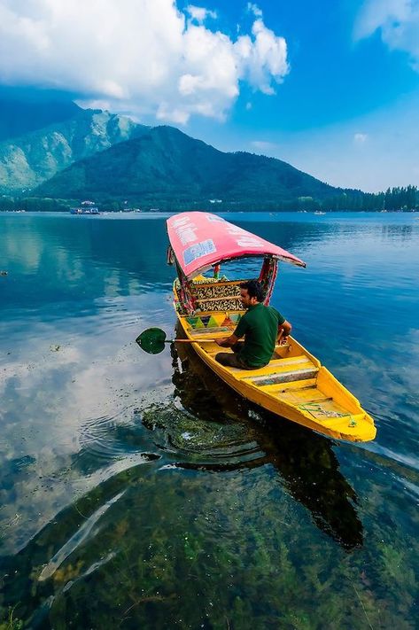 Dal Lake Kashmir, India Honeymoon, Srinagar Kashmir, India Tourism, Dal Lake, Travel Honeymoon, Jammu Kashmir, Azad Kashmir, Amazing India