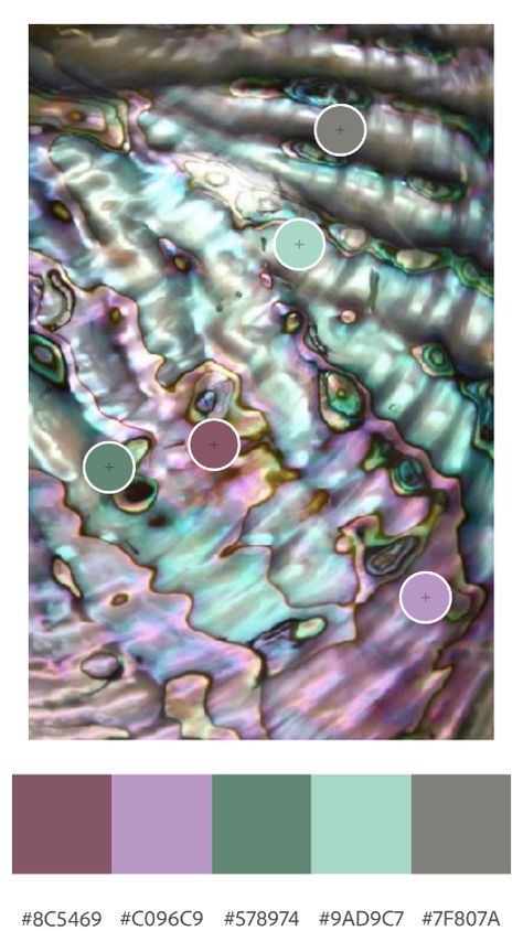 Abalone Shell Color Palette, Oyster Shell Color Palette, Mother Of Pearl Color Palette, Abalone Tattoo, Siren Color Palette, Oyster Color Palette, Shell Palette, Website Palette, Texture References