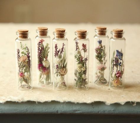 Gifts With Dried Flowers, Mini Glass Bottle Crafts, Wildflower Wedding Party, Tiny Jar Crafts, Flower In Jar, Apothecary Wedding, Specimen Jars, Dried Wildflowers, Tiny Glass Jars