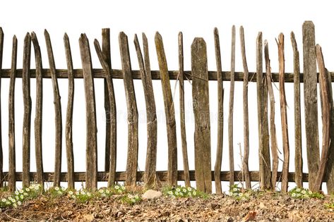 Old Wooden Fence, Landscape Model, Cedar Fence, Wooden Fence, Fence Design, Fencing, Railing, Agriculture, Royalty Free Images