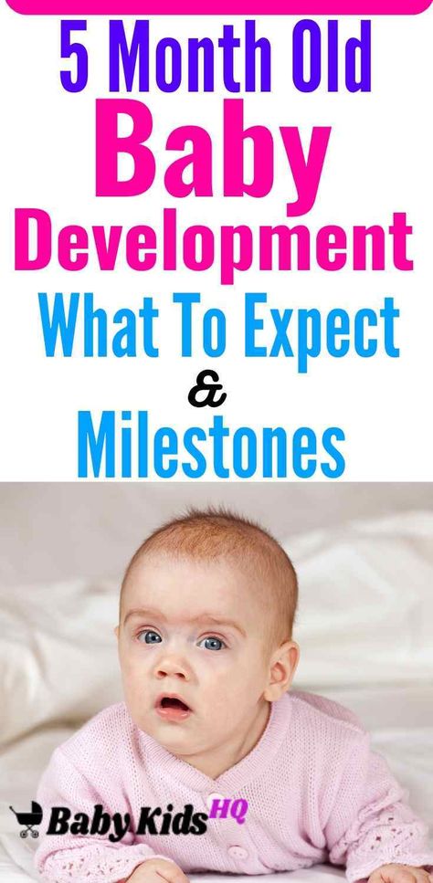 5 Month Old Baby Development :- By now, your baby’s physical developments are coming fast and furiously. When lying on his back, he’ll lift his head and shoulders. If you place him on his stomach, he’ll extend his arms and legs and arch his back. Your baby’s ability to interact with you, others, and his surroundings are growing daily. At this stage, he may start playing little games as he begins to understand that simple actions have results. Baby Developmental Milestones, Three Month Old Baby, Baby Development Milestones, 11 Month Old Baby, 5 Month Baby, Baby Development Activities, 5 Month Old Baby, 4 Month Old Baby, Sleeping Tips