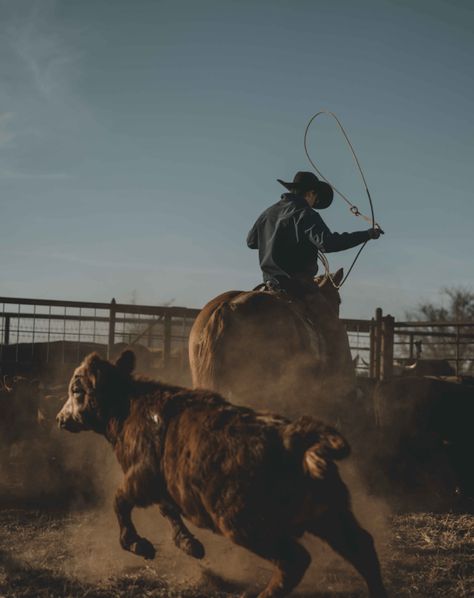 The High Flying Cowboy: texas Helicopter wranglers | The Filson Journal Cowboy Photography, Texas Cowboys, Cowboy Pictures, Cowboy Romance, Cowboy Aesthetic, Western Life, Western Aesthetic, On Horseback, Cowboy Art