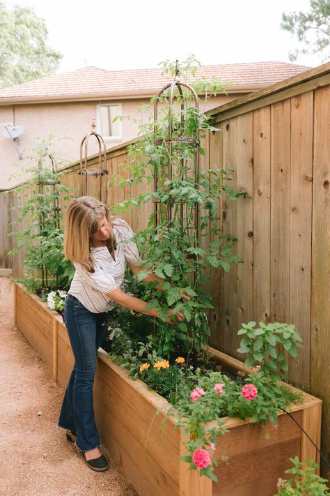 Raised Bed Kitchen Gardens Fit in Small Spaces in Houston Texas — Rooted Garden Small Kitchen Garden, Kitchen Garden Design, Backyard Raised Garden, Houston Garden, Garden Bed Layout, Metal Garden Beds, Raised Bed Garden Design, Tattoo Plant, Cedar Garden