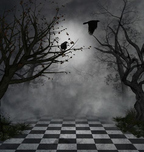 Dark scene. Fantastic and macabre scenary with two crows and mist , #spon, #Fantastic, #scene, #Dark, #macabre, #mist #ad Forest Entrance, Halloween Photography Backdrop, Creepy Forest, Crow Pictures, Crow Photos, Black And White Floor, Tree Scene, Forest Backdrops, Halloween Photography