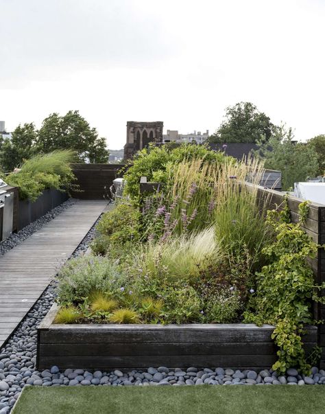 Ask the Expert: Roof Garden Basics with Designer Julie Farris - Gardenista Green Roof Garden, Roof Garden Design, Rooftop Terrace Design, Rooftop Design, Meadow Garden, Pergola Design, Planting Plan, Magic Garden, Terrace Design