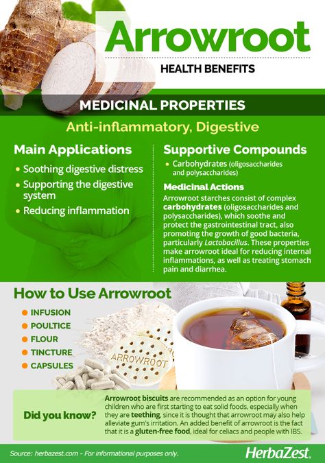 Arrowroot Benefits, Juicing Benefits, Home Health Remedies, Exotic Food, Health Wealth, Diy Health, Kitchen Witch, Healing Herbs, Medicinal Herbs