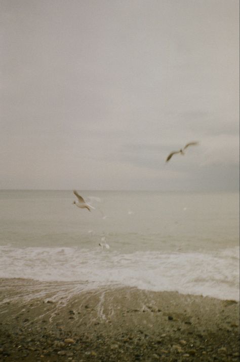 Minimalistic Beach Aesthetic, Sea Film Photography, Beach Documentary Photography, Ocean Film Photography, Beach Film Photography 35mm, Moody Beach Aesthetic, Beach Film Aesthetic, Beach Film Photography, Beach On Film