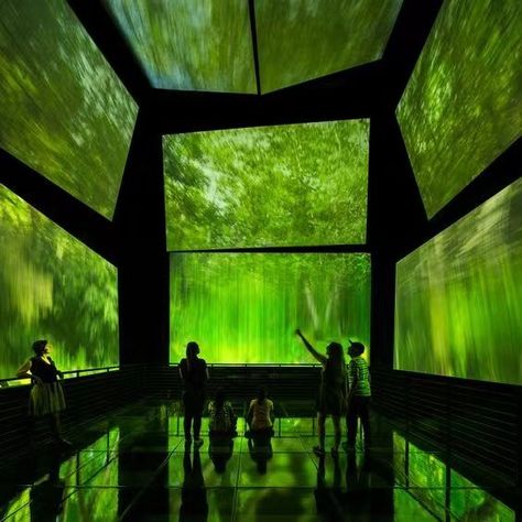 Projection Installation, Installation Interactive, Art Spatial, Light Art Installation, Screen Room, Interactive Installation, Projection Mapping, Interactive Art, Video Installation