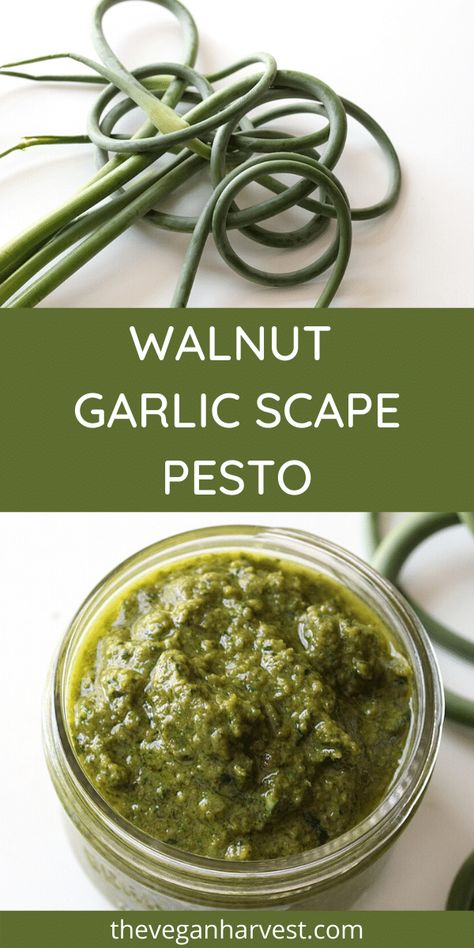 Walnut Garlic Scape Pesto, Vegan - The Vegan Harvest Healthy Spreads, Paleo Dips, Pesto Bake, Lemon Basil Pesto, Basil Walnut Pesto, Scape Pesto, Garlic Scape Pesto, Diy Easy Recipes, Walnut Pesto