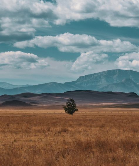 American Landscape Photography, Alberta Prairie, Prairie Photography, Yellowstone Aesthetic, Wyoming Aesthetic, Yellowstone National Park Photography, Western Nature, Missouri Photography, American Prairie