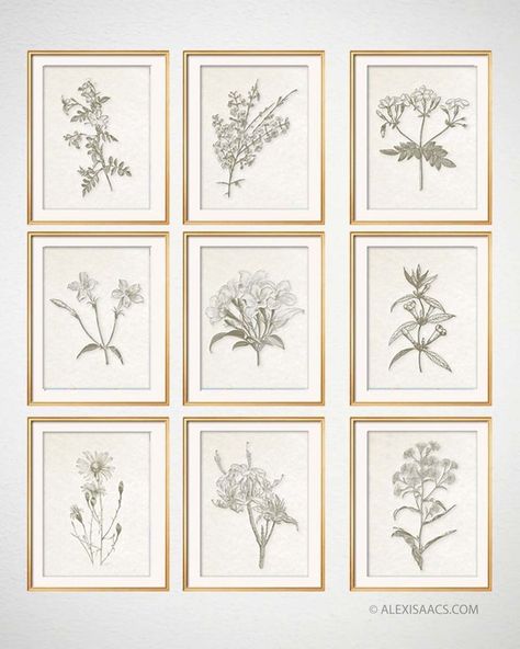 Vintage Botanical Prints, Set of 9 Chinoiserie Art Prints, Botanical Plates, Illustration Botanique Vintage, Modern Farmhouse Wall Art, Chinoiserie Art, Modern Rustic Living Room, Dining Wall, Botanical Illustration Vintage, Botanical Print Set