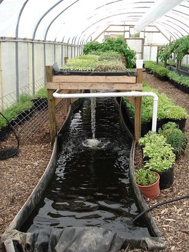 Aquaponics Greenhouse, Aquaponics Diy, نباتات منزلية, Aquaponic Gardening, Greenhouse Plans, Aquaponics System, Diy Greenhouse, Greenhouse Gardening, Hydroponic Gardening