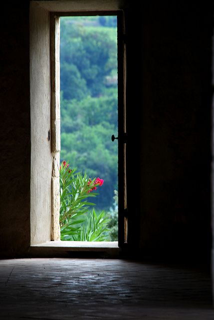 wish this was the view out of my front door... Wow Photo, Open Door, Photo Background Images, Window View, Through The Window, Beautiful Doors, Closed Doors, Jolie Photo, Photo Backgrounds