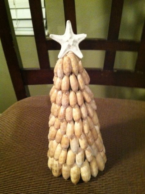 Olive shell tree Olive Shell Crafts Seashells, Crafts With Olive Shells, Olive Shells Crafts, Olive Shell Art, Lettered Olive Shell Crafts, Olive Shell Crafts, Shell Trees, Shell Displays, Seashells Crafts