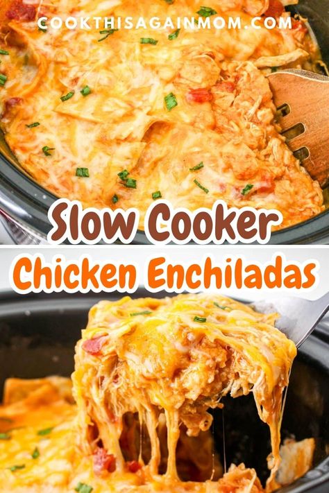 Looking for a hassle-free dinner? This mouthwatering Slow Cooker Chicken Enchilada casserole is packed full of flavor with minimal effort. Crockpot Enchilada Casserole, Slow Cooker Chicken Enchilada Casserole, Slow Cooker Chicken Enchiladas, Crockpot Chicken Casserole, Crockpot Chicken Enchilada Casserole, Crockpot Mexican Chicken, Casserole Crockpot Recipes, Crockpot Chicken Enchiladas, Shredded Chicken Crockpot