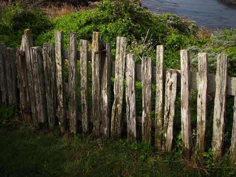 Old Fence Old Wooden Fence, Fence Options, Country Fences, Small Fence, Rustic Fence, Front Fence, Timber Fencing, Horizontal Fence, Lattice Fence