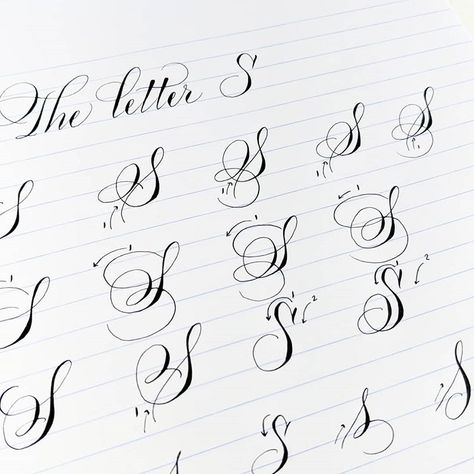 Time to move on to the letter S! I love the many ways you can write this letter. #learncalligraphy #theletters #pointedpen #calligraphy… S Signature Ideas, Calligraphy S, S Calligraphy, Free Tattoo Fonts, Calligraphy Writing Styles, Calligraphy Letters Alphabet, Flourish Calligraphy, Lettering Guide, Photo Time