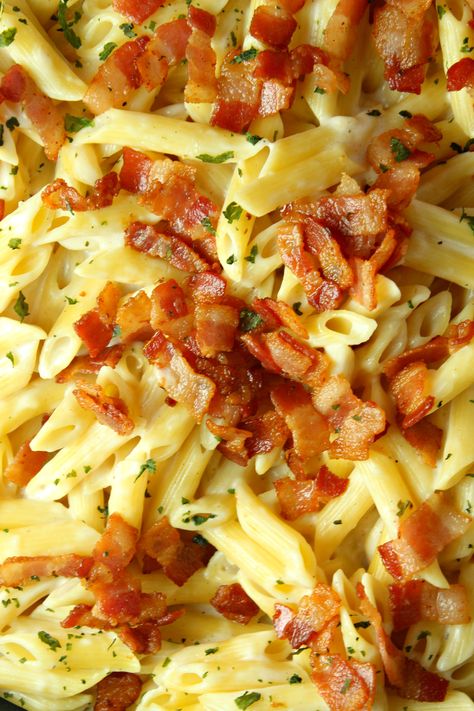 Easy Pasta With Bacon, Alfredo Sauce With Bacon, Easy Bacon Pasta Recipes, Bacon Alfredo Pasta Recipes, Pasta Bacon Recipes, Bacon Alfredo Pasta, Alfredo Dinner, Bacon Alfredo, Bacon Pasta Recipes