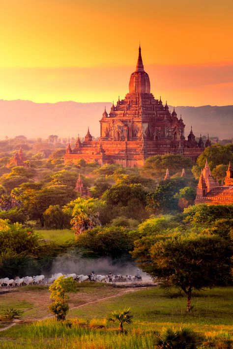 This is the ultimate list of the most beautiful places in Myanmar you should visit. Myanmar Travel, World Most Beautiful Place, Inle Lake, Yangon, Places In The World, Bagan, Mandalay, Beautiful Places Nature, Most Beautiful Cities