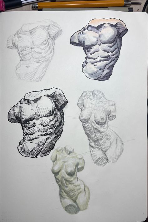 Greek Anatomy Drawing, Human Figure Gcse Art, Greek Anatomy, Academic Drawing Anatomy, Greek Art Drawing, Real Life Drawing, Greek Drawing, Jesus Art Drawing, Rennaissance Art