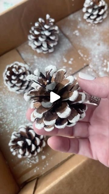 gina luker | arts + crafts on Instagram: "❄️ Easy faux snow pine cones for the holidays We don’t really get snow in the south… so faux snow for the win! This is a great craft gif kids because the bags keep it relatively neat 🙌🏼 DIY DETAILS ✨ use cheap acrylic paint - not the fancy stuff ✨ do small batches of pine cones (3-4 at a time for small - 1 or 2 for bigger) ✨ sprinkle glitter immediately… start with chunky stuff then the fine glitter for best results ✨ Let dry overnight or at least a few hours before dumping out excess glitter Do you get snow where you live?" Pine Cone Painting Ideas, How To Paint Pine Cones, Decorating Pine Cones, Christmas Pine Cone Decorations, Christmas Cones Decorations, Christmas Decorations Pinecones, How To Paint Pinecones, Pine Cones Christmas Decorations, What To Do With Pine Cones