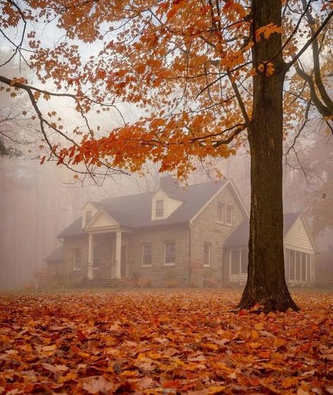 Vintage Fall Photos, Witch Halloween Aesthetic, Fall Witch Aesthetic, Witchy Fall Aesthetic, Autumn Vintage Aesthetic, Autumn Witch Aesthetic, Fall Vintage Aesthetic, Vintage Autumn Aesthetic, Autumn Halloween Aesthetic