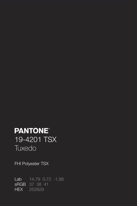 Pantone Dark Gray, Pantone Charcoal Grey, Gray Pantone Colour Palettes, Grey Pantone Palette, Dark Grey Palette, Dark Grey Pantone, Pantone Noir, Black Palette Color, Charcoal Pantone