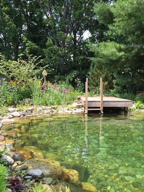 25 Natural Swimming Pool Designs For Your Small Backyard | HomeMydesign Swimming Ponds, Swimming Pool Pond, Kolam Koi, Amazing Backyard, Natural Swimming Ponds, Pool Chlorine, Swimming Pond, Natural Pond, Natural Swimming Pools