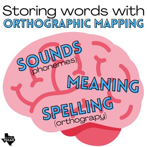 Sor Kindergarten, Strategy Groups Reading, Academic Reading, Word Mapping, Orthographic Mapping, Reading Interventionist, Fun Phonics Activities, College Assignment, Structured Literacy