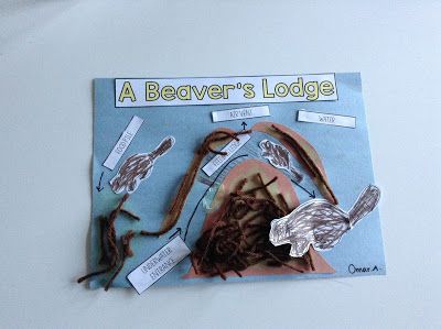 Beaver Habitat, Beaver Scouts, Beaver Lodge, Habitats Projects, Canadian Animals, Busy Beaver, Art Activities For Toddlers, Nature School, Scout Activities