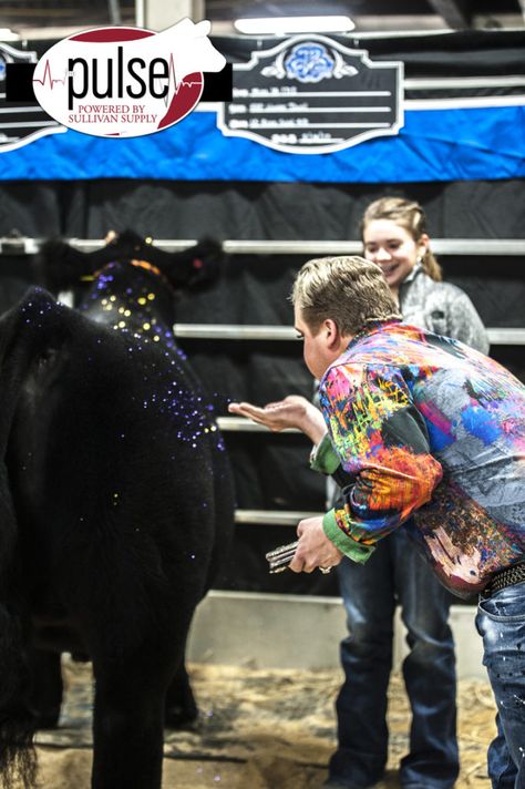 Show Cattle Aesthetic, Ryan Rash Livestock Judge Quotes, Ryan Rash, Mini Hereford, Club Calf, Cattle Showing, Livestock Photography, Livestock Quotes, Showing Cattle