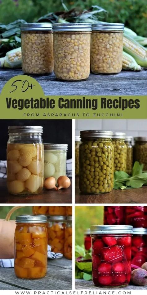 50+ Vegetable Canning Recipes: Pressure Canning Vegetables - If you're looking for pressure canning recipes or water bath canning recipes, you'll love all of my favorite veggie canning recipes from water bath canning asparagus to water bath canning zucchini. Plus learn all about pressure canning vegetables! pressure canning for beginners | canning veggies from garden | pickling and canning | pressure canning tomatoes | vegetable canning ideas Canned Vegetable Recipes, Vegetable Canning, Can Vegetables, Canned Veggies, Water Bath Canning Recipes, Delicious Green Beans, Easy Canning, Pressure Canning Recipes, Canning Sweet Potatoes