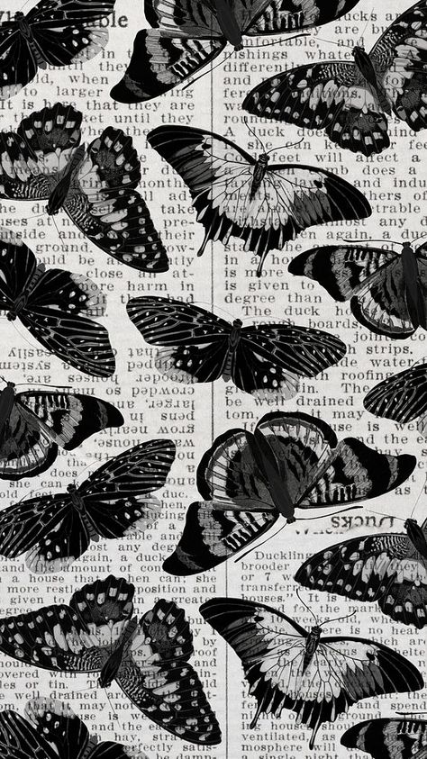 Phone Wallpaper Vintage, Black Butterfly Wallpaper, Black And White Wallpaper Aesthetic, Grey Aesthetic Wallpaper, Butterfly Phone Wallpaper, Wallpaper Butterfly, Grey Aesthetic, Wallpaper Vintage, Black Butterfly