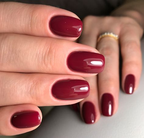 Best Winter Nail Colors 2023-2024 16 Ideas: Stay Stylish All Season - Women-Lifestyle.com Best Winter Nail Colors, Winter Nail Colors, Winter Nail, 2023 2024, Gel Polish, Nail Colors, Nail Polish, Nails, Ring