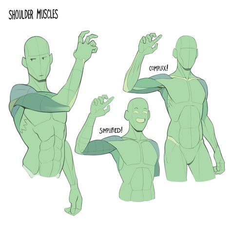 Arm Anatomy, Arm Drawing, Anatomy Tutorial, Human Anatomy Drawing, Human Anatomy Art, Anatomy Sketches, Different Poses, Body Reference Drawing, Anatomy Poses