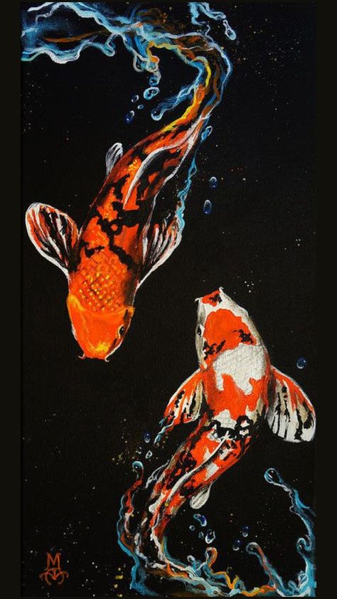 Antonio Aguilar, Marco Antonio, Koi Fish, Koi, Fish, Orange, Water, White, Black