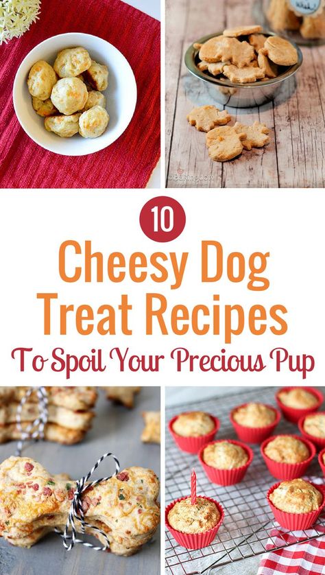 Dog Treats Recipes, Cheese Ideas, Homemade Pet Treats, Dogs Treats, Recipes Cheese, Pet Treats Recipes, Dog Treats Homemade Easy, Easy Dog Treat Recipes, Dog Biscuit Recipes