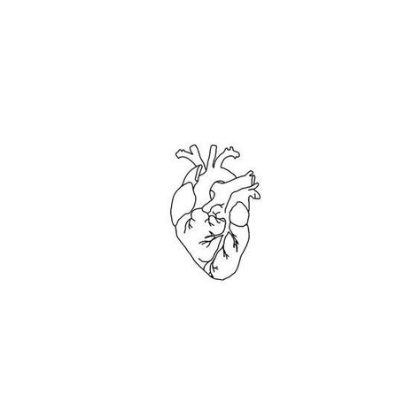 Moomin Tattoo, Anatomical Heart Tattoo, Kunst Tattoos, Logo Instagram, Men Tattoos, Inspiration Tattoos, Initial Tattoo, Heart Drawing, Aesthetic Tattoo