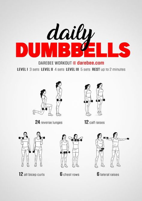 Small Dumbbell Workout, At Home Workouts Dumbbells, Beginners Dumbbell Workout, Dumbbell Workout For Posture, Dumbbell Exercise For Women, Workouts To Do With Dumbbells, Beginner Workout At Home Dumbell, Dumbell Whole Body Workout, Beginner Dumbbell Workout Women