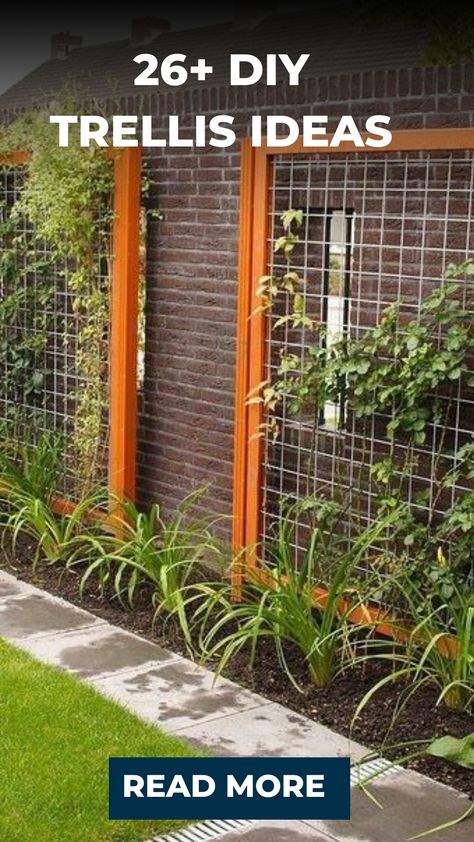 26+ DIY Trellis Ideas Trellis On Shed Ideas, Metal Trellis Ideas Garden, Tall Trellis Ideas, Trellis For Climbing Plants, Wood Trellis Ideas Diy Climbing Vines, Trellis On House Wall, Trellis Wall Ideas, Diy Lattice Trellis, Backyard Trellis Ideas Climbing Vines