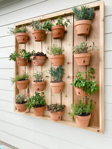 Indoor herb garden