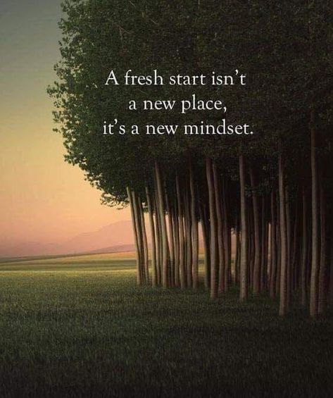 New Beginning Quotes Life, Fresh Start Quotes, Start Quotes, Fresh Quotes, New Mindset, New Beginning Quotes, New Place, A Fresh Start, Fresh Start