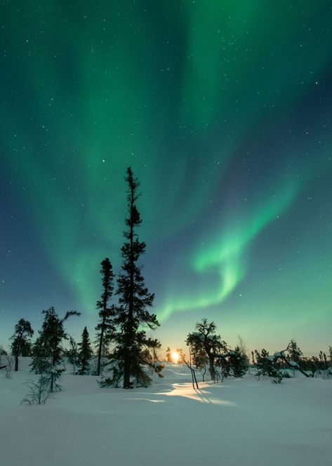 Where can you see the Northern Lights in Finland? Northern Lights Photography, Finland Travel, See The Northern Lights, Pretty Landscapes, Countries To Visit, Tromso, Dream Travel Destinations, The Aurora, Dream Holiday