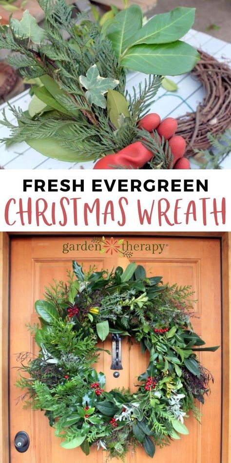 A natural Christmas wreath is simple to make and can be absolutely stunning. See how to make a fresh wreath and get inspiration on what to use. #gardentherapy #diy #crafts #evergreen #handmadegifts #holidaygifts #holiday #christmas #wreath Make A Christmas Wreath, Natural Christmas Wreaths, Evergreen Christmas, Fresh Wreath, Holly Wreath, Evergreen Wreath, Christmas Wreaths To Make, Natural Christmas, Xmas Wreaths